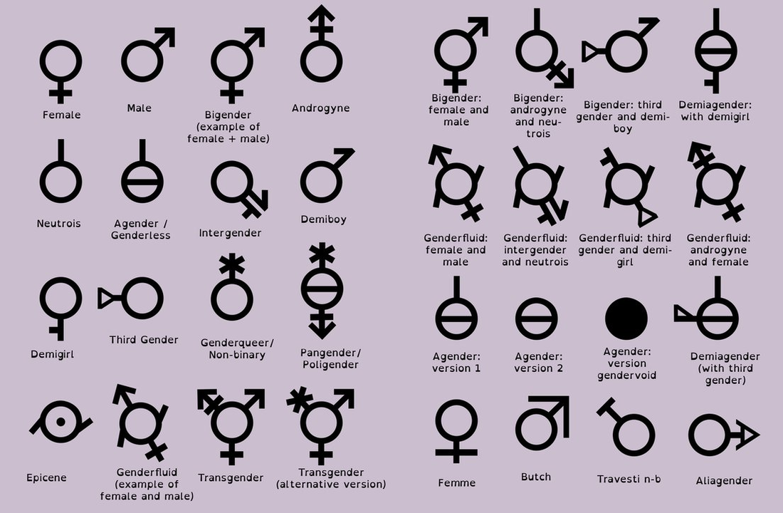 bi gender fluid meaning
